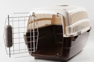 can you use a dog cage for a guinea pig