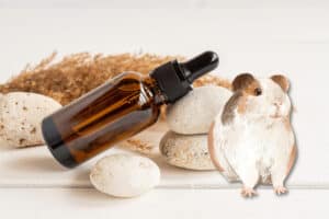 what essential oils are bad for guinea pigs