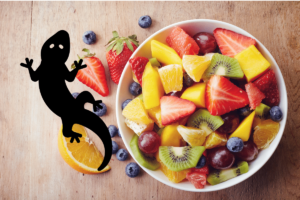 can leopard geckos eat fruit
