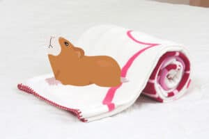 how long do guinea pig fleece liners last
