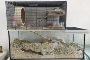 How To Set Up A Gerbil Cage (Gerbil Habitat Setup Guide) - How To Build A Large Cage For Hamsters And Gerbils