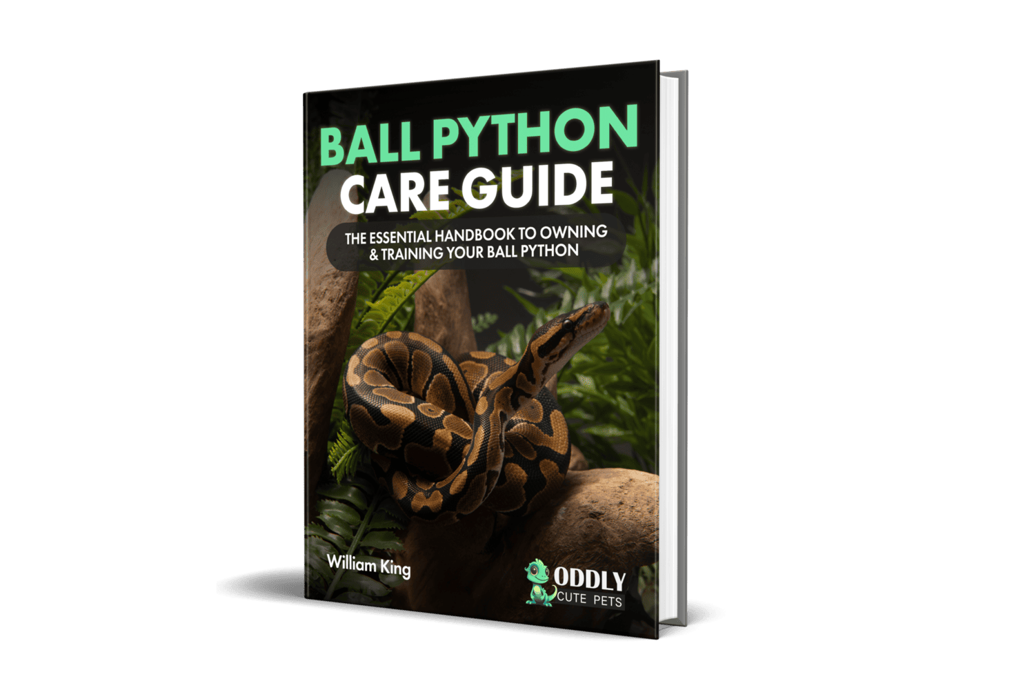 How Cold Can a Ball Python Survive (And Cold Shock Syndrome)